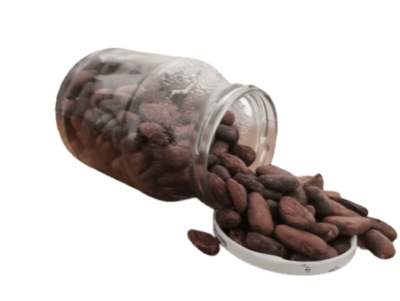 Fèves de cacao du Cameroun