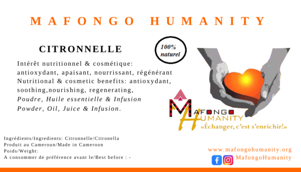 Plantes aromatiques : Citronnelle, Moringa, etc – Image 16