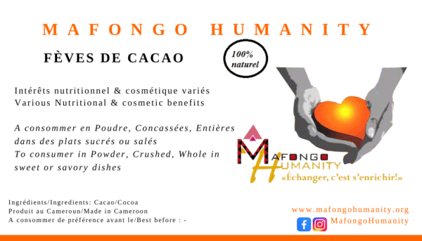 Fèves de cacao du Cameroun – Image 9