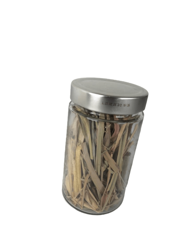 Plantes aromatiques : Citronnelle, Moringa, etc – Image 4