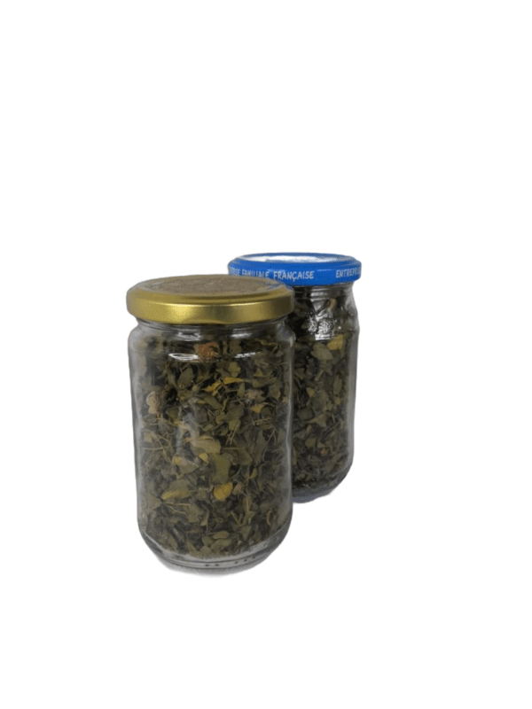 Plantes aromatiques : Citronnelle, Moringa, etc – Image 12