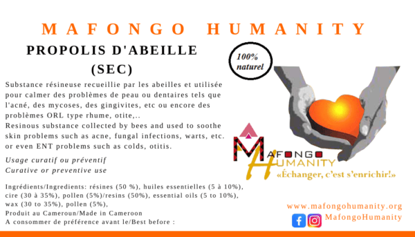Propolis d'abeille sec/liquide – Image 13
